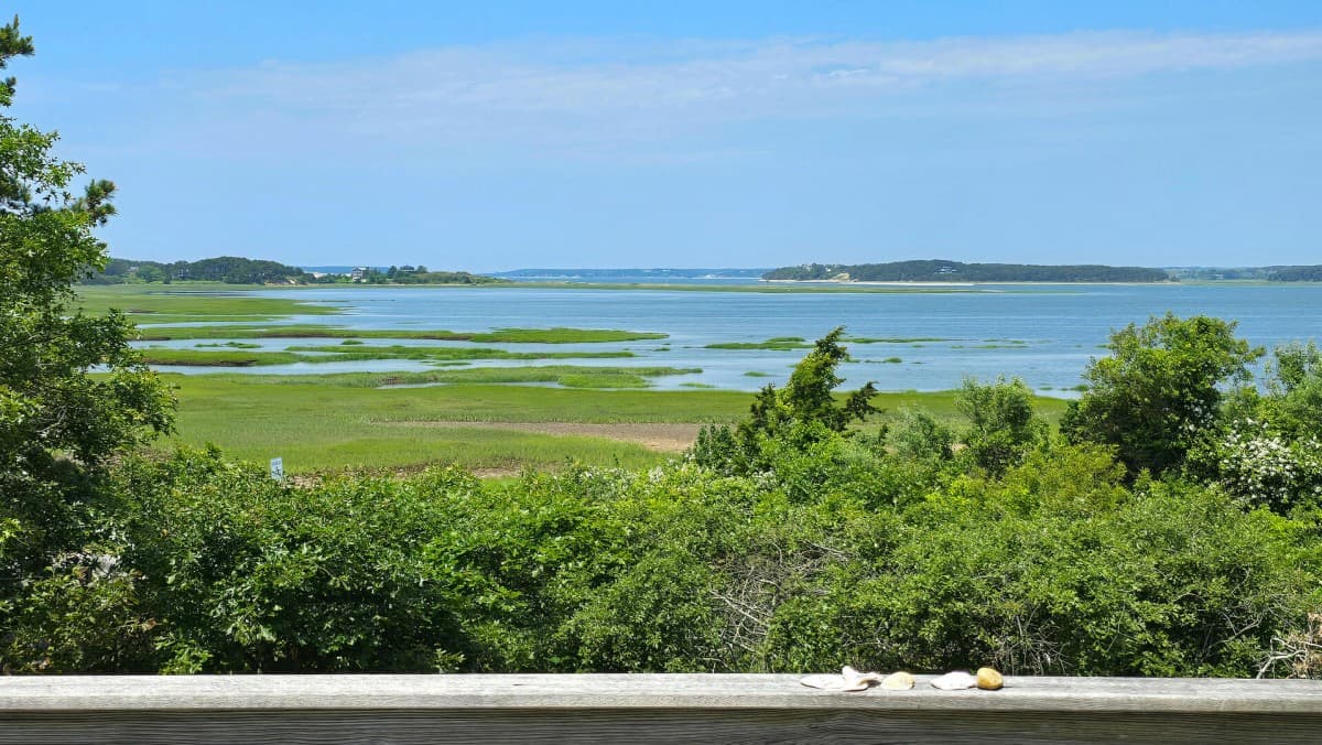 WJPET--Loagy Bay Views